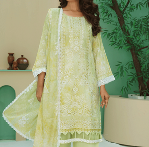 Woman wearing a light green embroidered outfit with matching pants, standing against a green and white background.